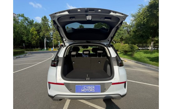 BYD Sea Lion 05 EV, пробіг 3,3 тисячі км 